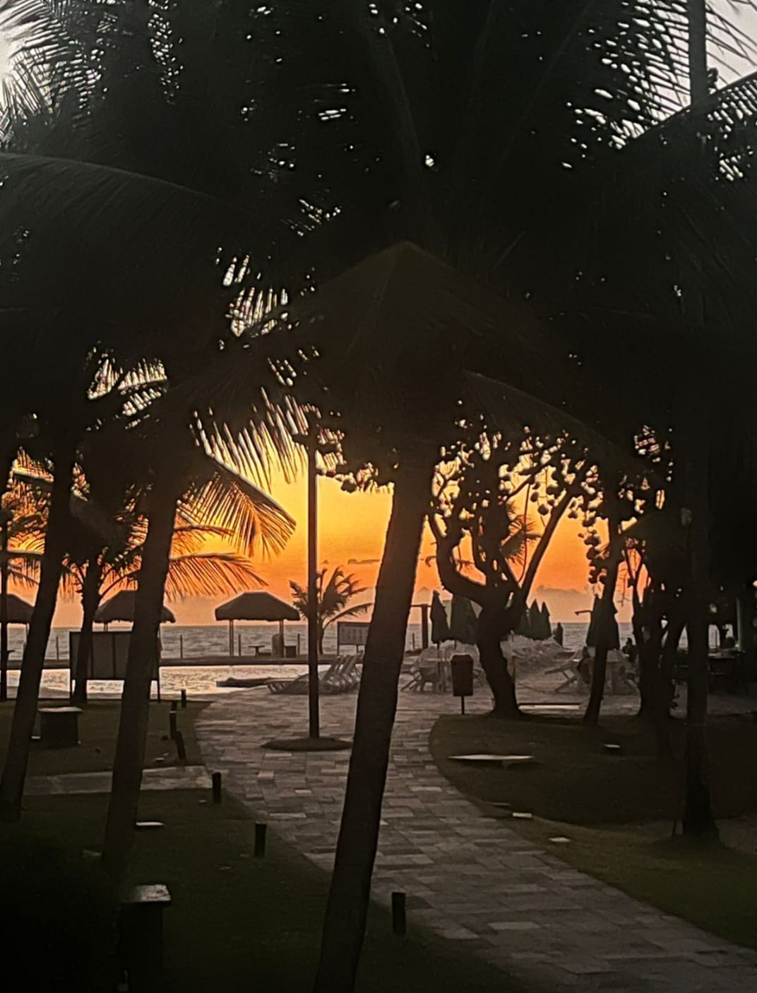 auto draft auto draft