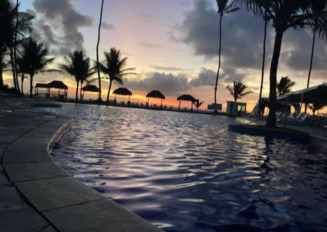 auto draft auto draft