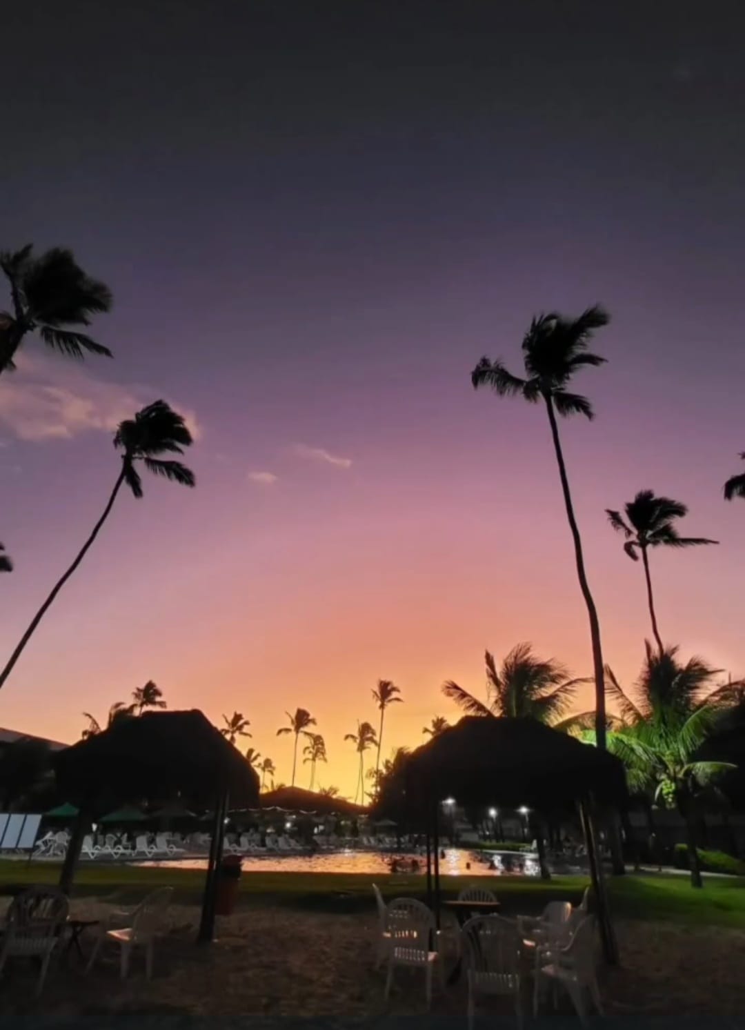 auto draft auto draft