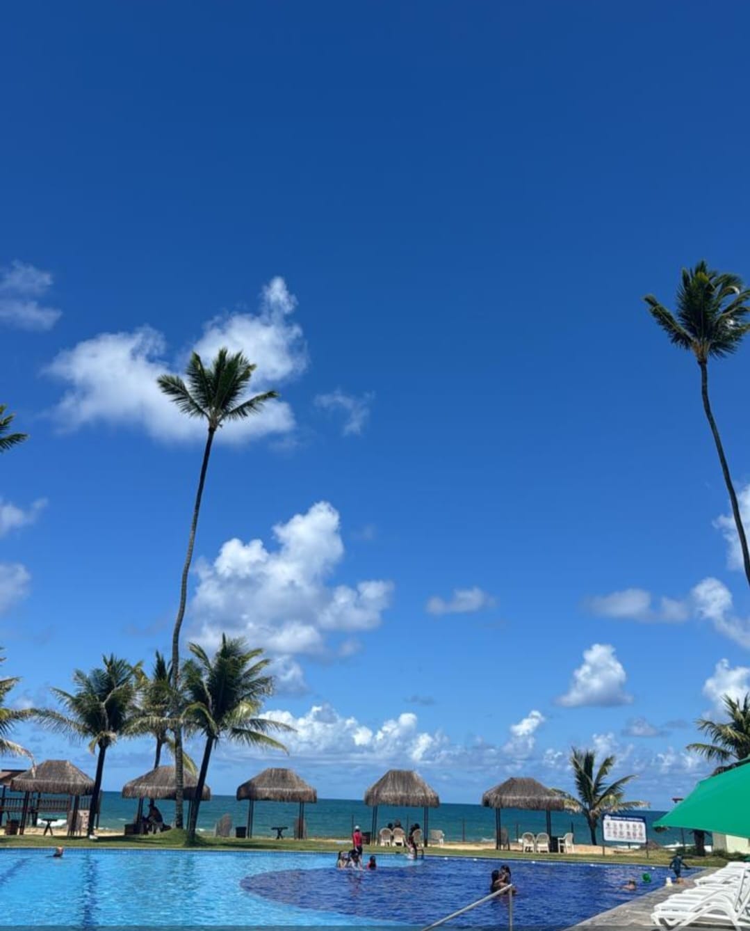 auto draft auto draft