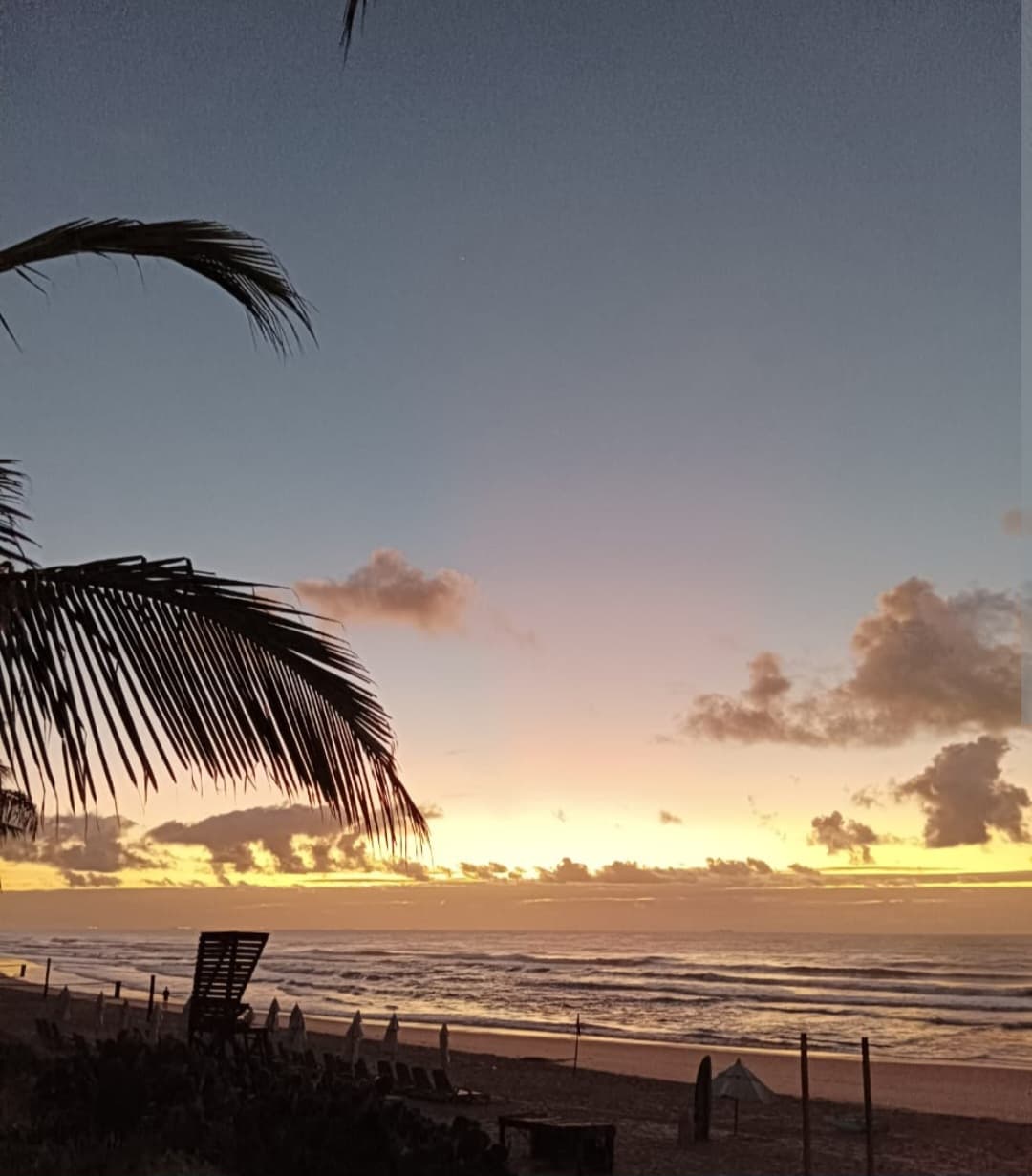 auto draft auto draft