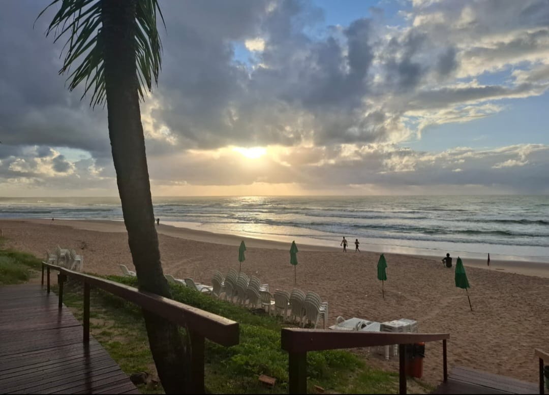 auto draft auto draft