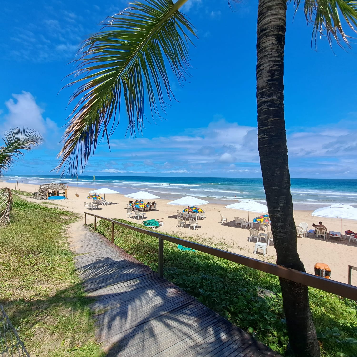 auto draft auto draft