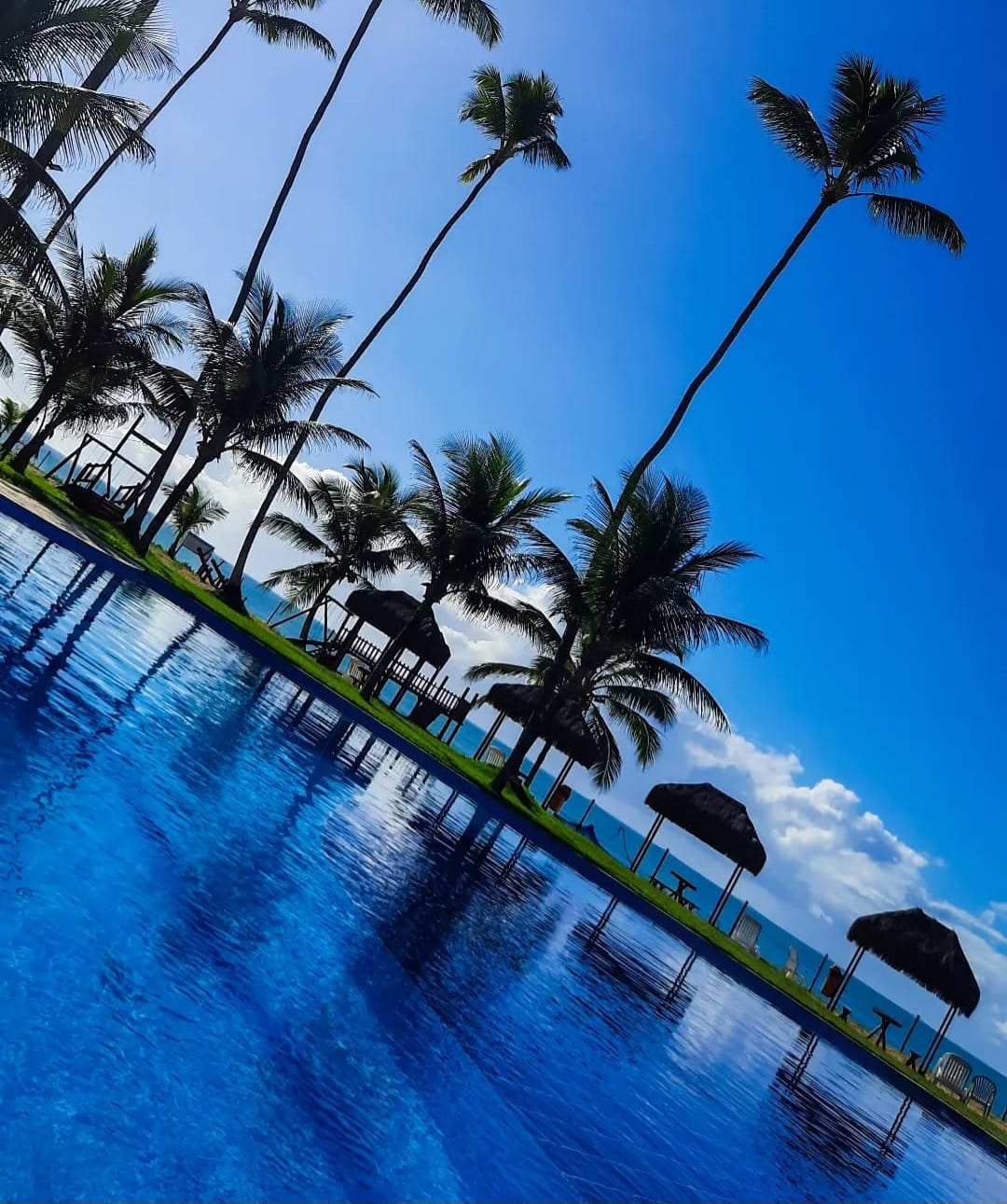 auto draft auto draft