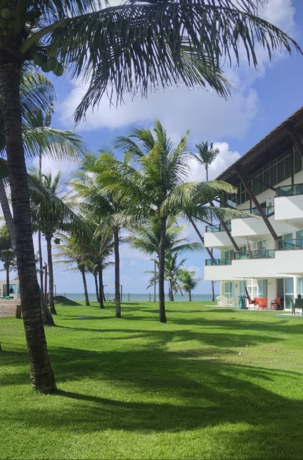 auto draft auto draft